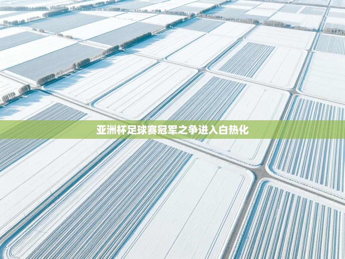 亚洲杯足球赛冠军之争进入白热化  第1张